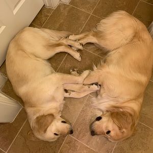 Meet your Posher, Helen